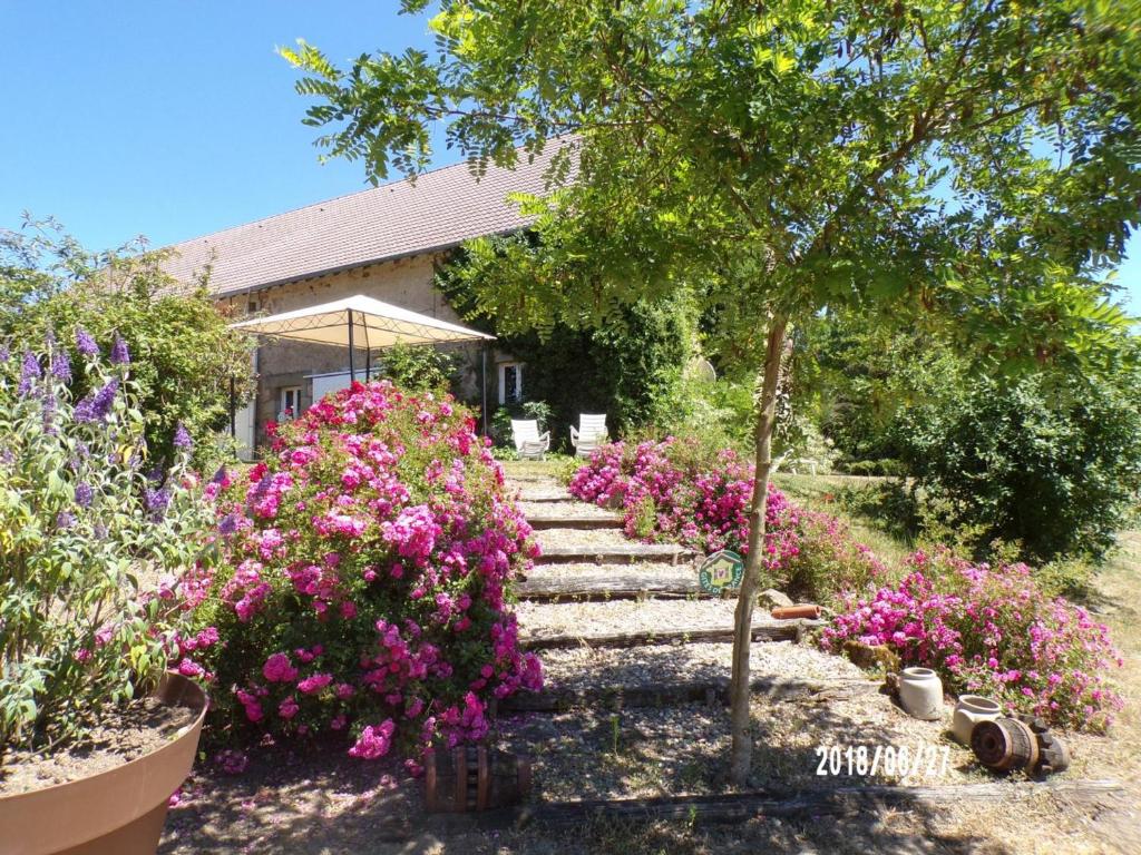 um jardim com flores cor-de-rosa em frente a uma casa em Gîte Noyant-d'Allier, 4 pièces, 9 personnes - FR-1-489-225 em Noyant-dʼAllier