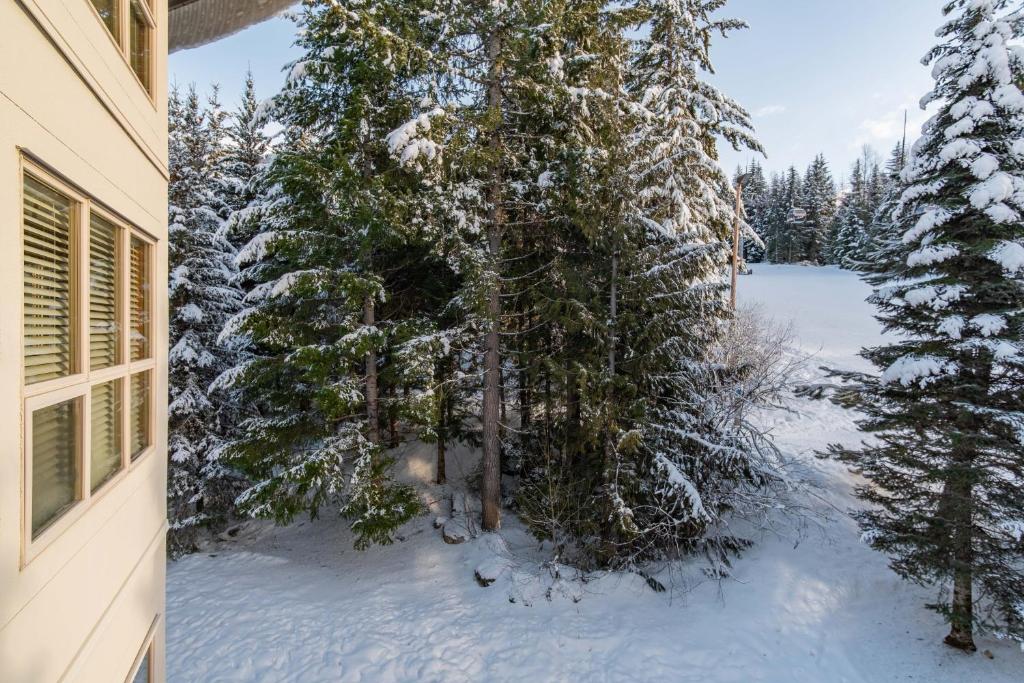 The best ski in ski out two bedroom condo at Aspens v zimě