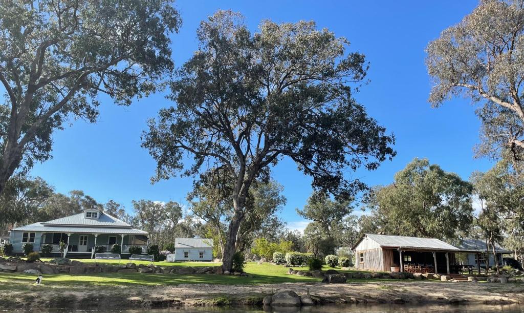 a house with a large tree in front of it at Diamondvale Estate Stanthorpe in Stanthorpe