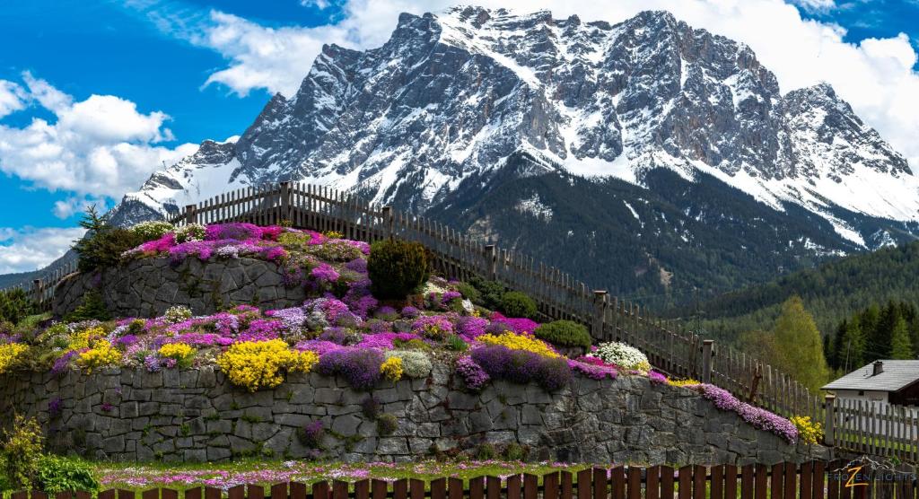 a stone wall with flowers in front of a mountain at Alpinum Hostel in Biberwier