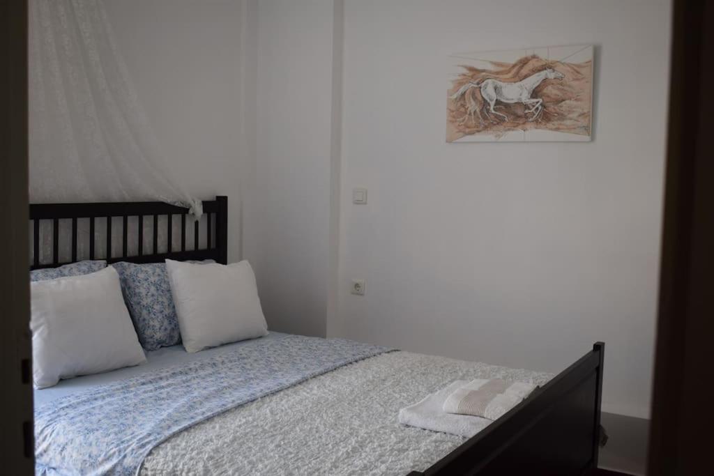 Fotografia z galérie ubytovania happy2 Andre Άνετο διαμέρισμα στην Καλλιθέα v Aténach