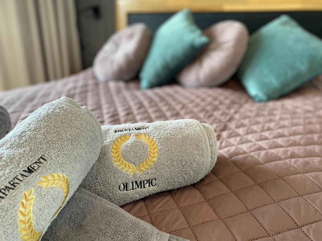 Posteľ alebo postele v izbe v ubytovaní OLIMPIC Apartament Klimatyzacja Garaż Winda Suwałki