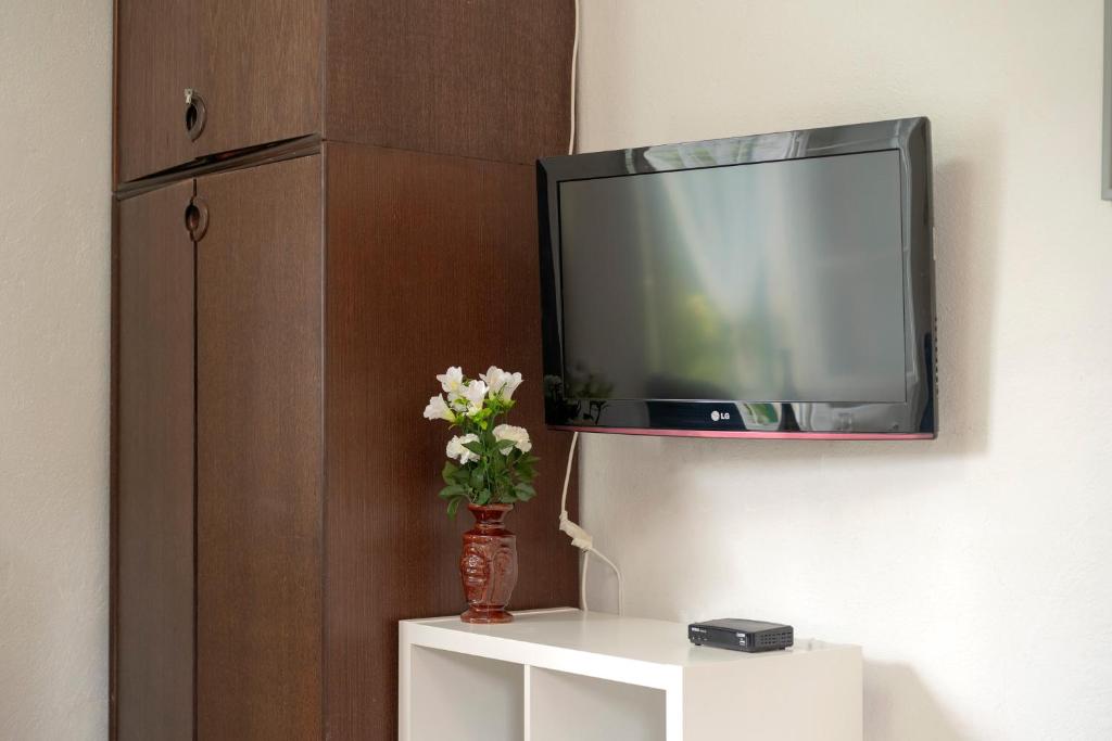 Telewizja i/lub zestaw kina domowego w obiekcie Apartman studio Stari Grad 2