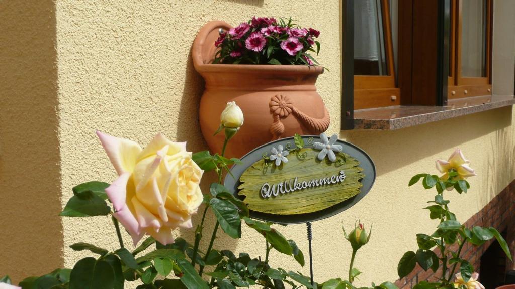Zahrada ubytování Ferienhaus Weber Bad Frankenhausen