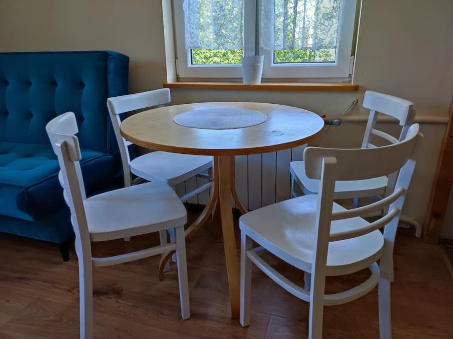 stół i krzesła w pokoju z oknem w obiekcie Nikifour, apartament nad deptakiem w mieście Krynica Zdrój