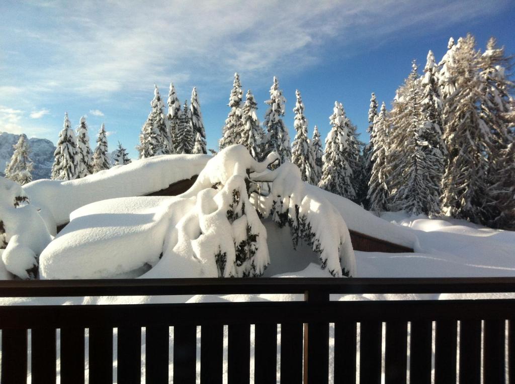 Chalet Faschingalm v zimě