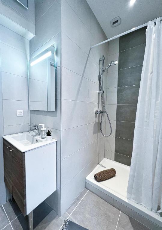 LE PARADIS FISCAL, 5min Bâle, parking privé – photo 49