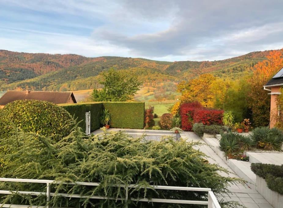 um jardim com vista para as montanhas em Logement de charme au coeur de la nature em Osenbach