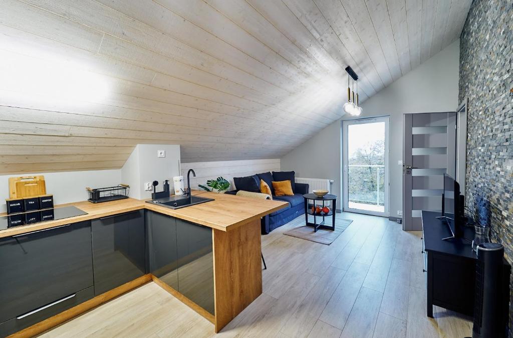 Kuchyňa alebo kuchynka v ubytovaní LAGUNA Apartament Polanica Residence 57