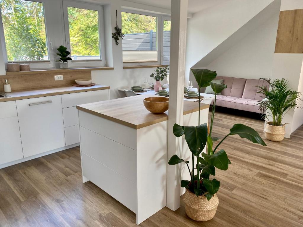 Kuchyň nebo kuchyňský kout v ubytování Sunny Oak Estate