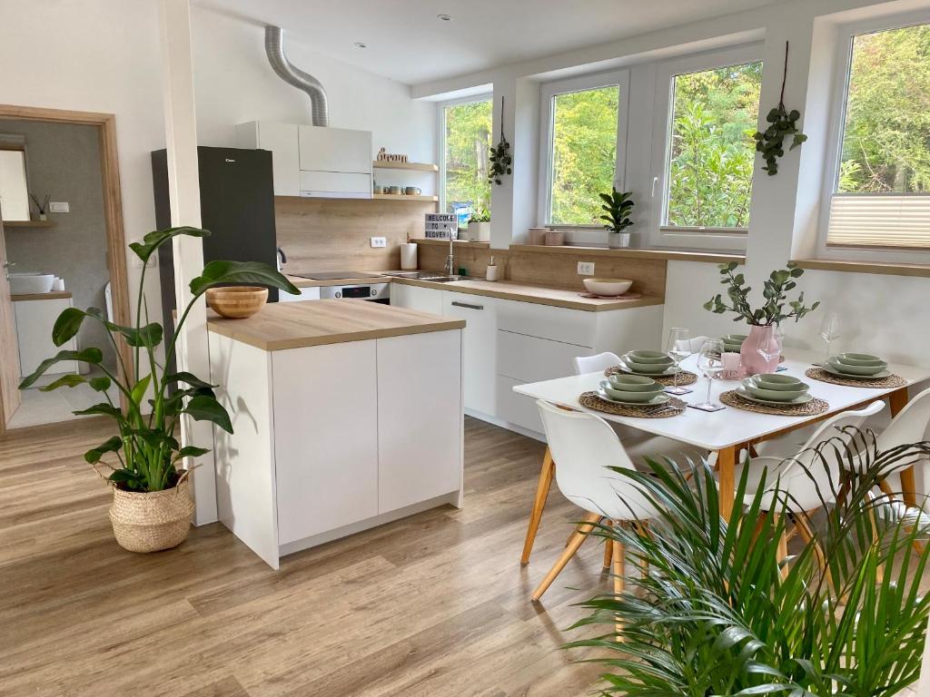 una cocina con armarios blancos y una mesa con plantas en Sunny Oak Estate, en Mengeš
