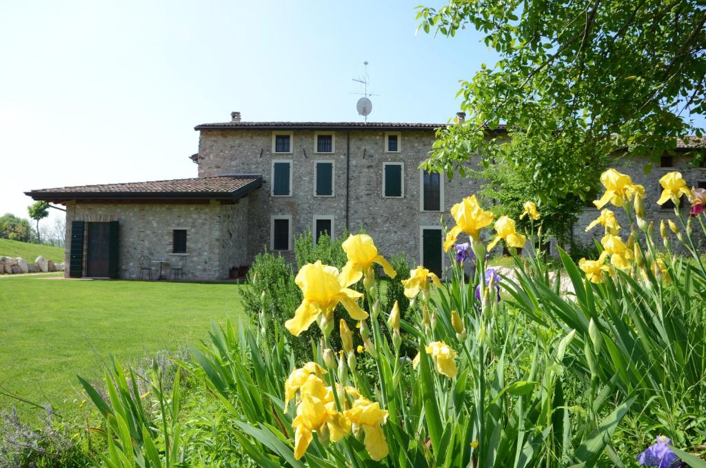 I Barbasse Volto