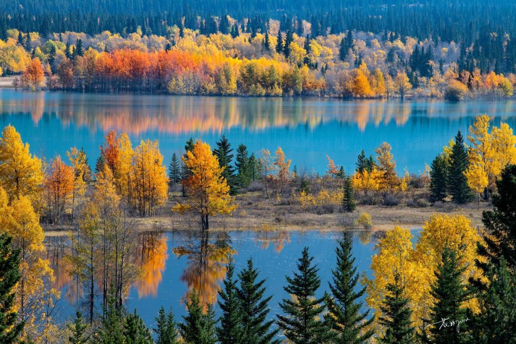 Sunny Tranquil Woods Turret in Falcon Crest Lodge - Resim 10