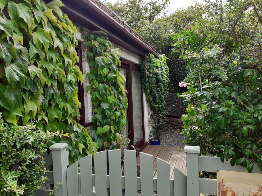 una cerca blanca frente a una casa en Oakey Orchard - cosy apartment in Tamar Valley, Cornwall, en Saint Dominick