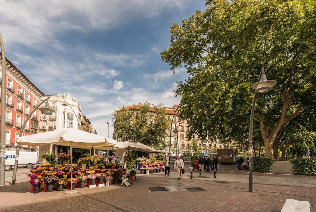 Zajímavé místo poblíž apartmánu