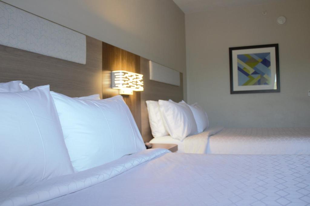 Holiday Inn Express Hotel & Suites Hope Mills-Fayetteville Airport by IHG - Standaard Queen Room Met Twee Queensize Bedden