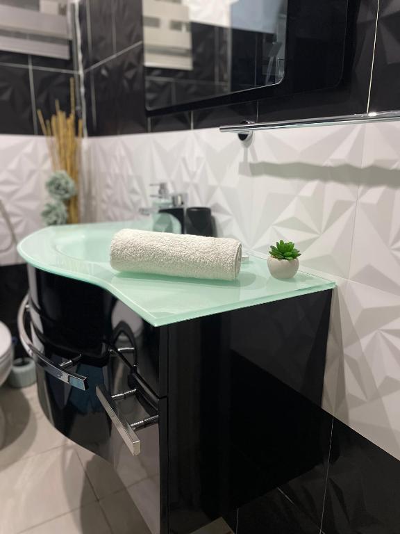 Kuchyň nebo kuchyňský kout v ubytování Apartman Stefan Lux