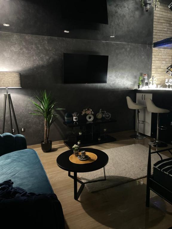 Posezení v ubytování Apartman Stefan Lux