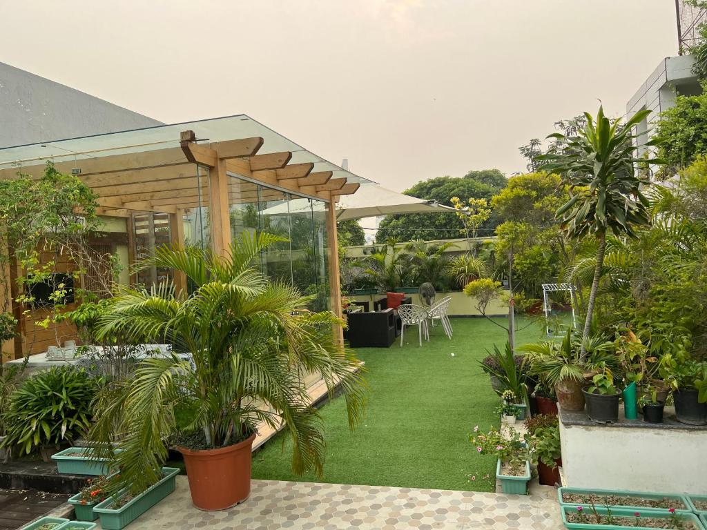 un jardín con palmeras y plantas en un patio en GREEN HOME STAY, en Lucknow