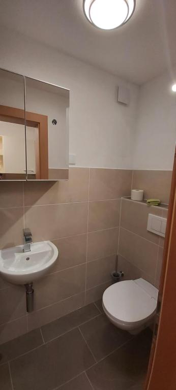 Koupelna v ubytování Zugspitzchalets