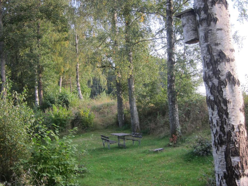 Příroda nedaleko kempu