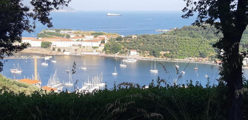 a view of a harbor with boats in the water at Casa Vacanze Luna in Portovenere