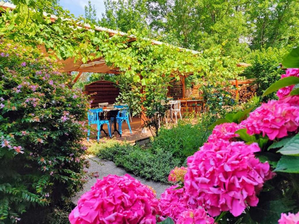 a garden with pink flowers and a pergola at La Ciboulette in Foix