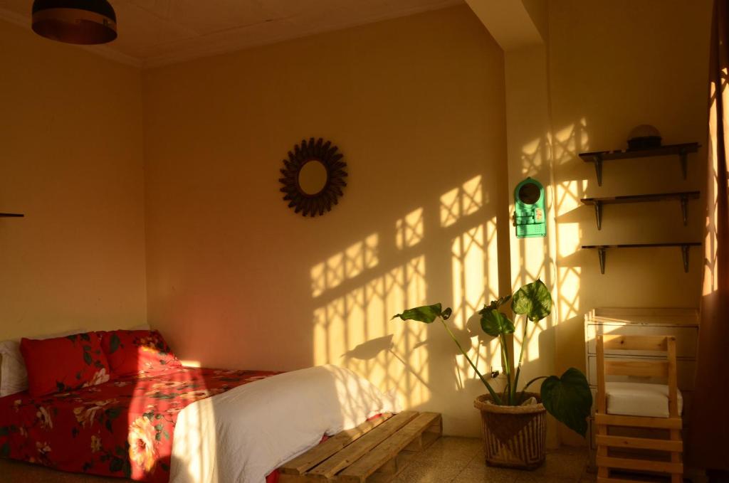 Zimmer mit einem Bett und einem Schatten an der Wand in der Unterkunft Pachamac House in Guayaquil