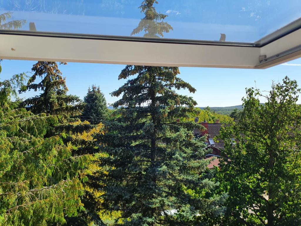 vistas a los árboles desde el balcón de una casa en Zöld Relax Apartments, en Budakeszi