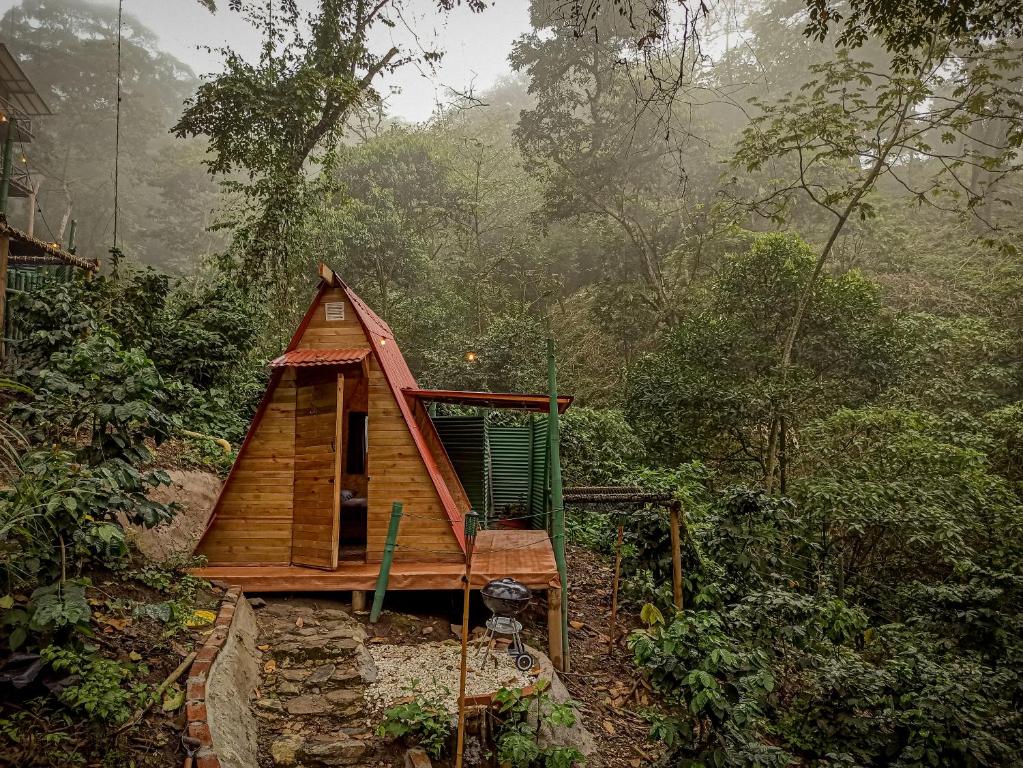a small cabin in the middle of a forest at ECO Cabin - TANOA Minca in Minca