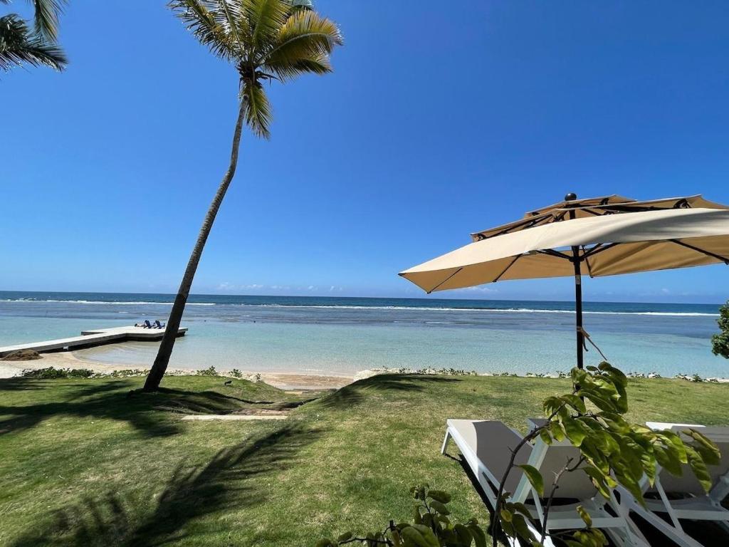 a beach with a palm tree and an umbrella at Aquarella Beachfront 2BR Sunset Juan Dolio in La Puntica de Juan Dolio