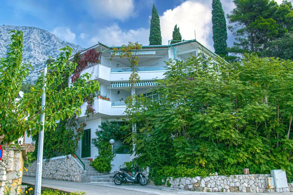 Zahrada ubytování Apartments by the sea Zivogosce - Porat, Makarska - 20097