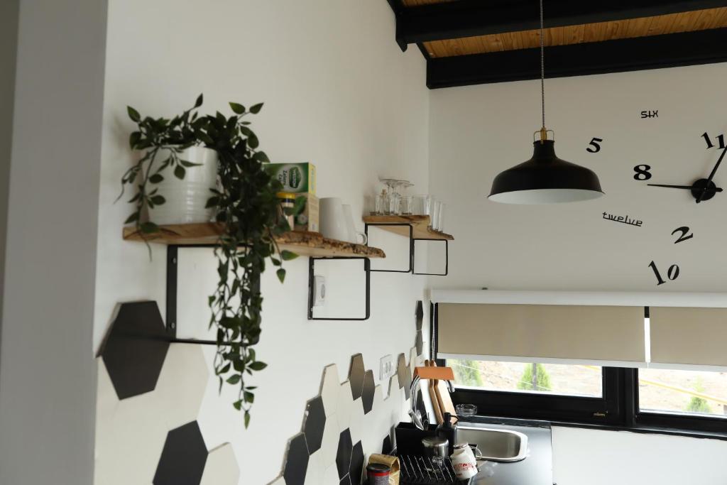 Kuchyň nebo kuchyňský kout v ubytování Wild nest Deer Lux