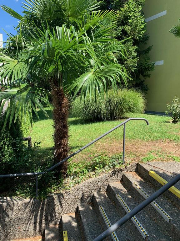 A garden outside Neu, zentral, sonnig, Garage inklusive