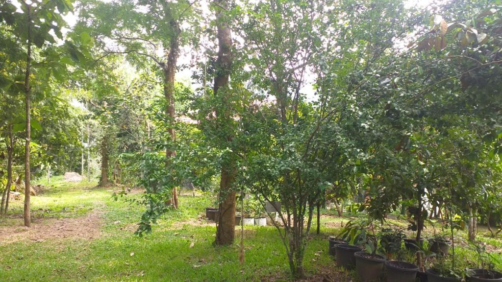 Tapovan Farm House - Deluxe Double Room (2 Adults + 1 Child)