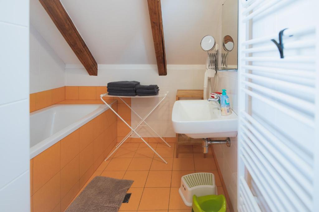Fotografie z fotogalerie ubytování APARTMÁNY MAXOV v destinaci Lučany nad Nisou