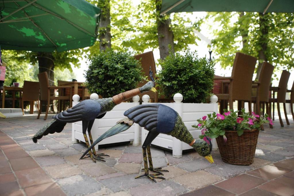 Hotel Robben - Resim 35