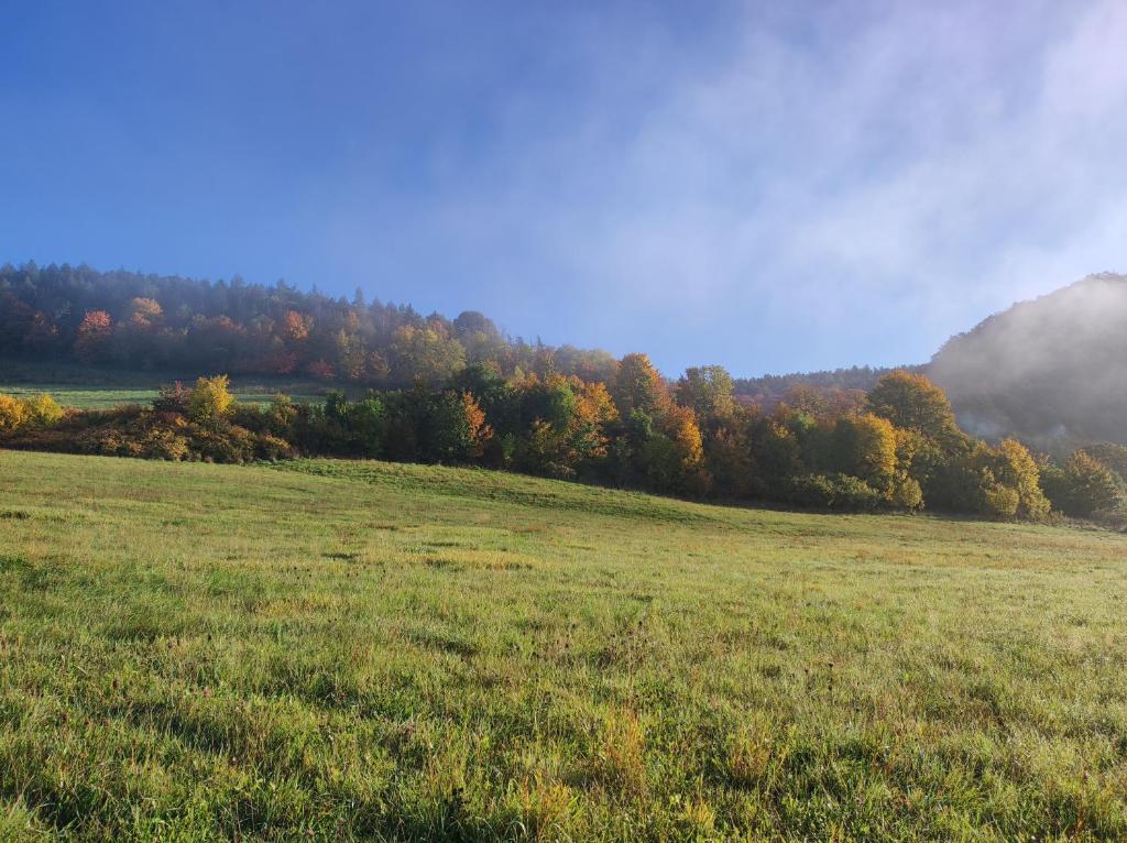 Príroda v okolí dovolenkového domu