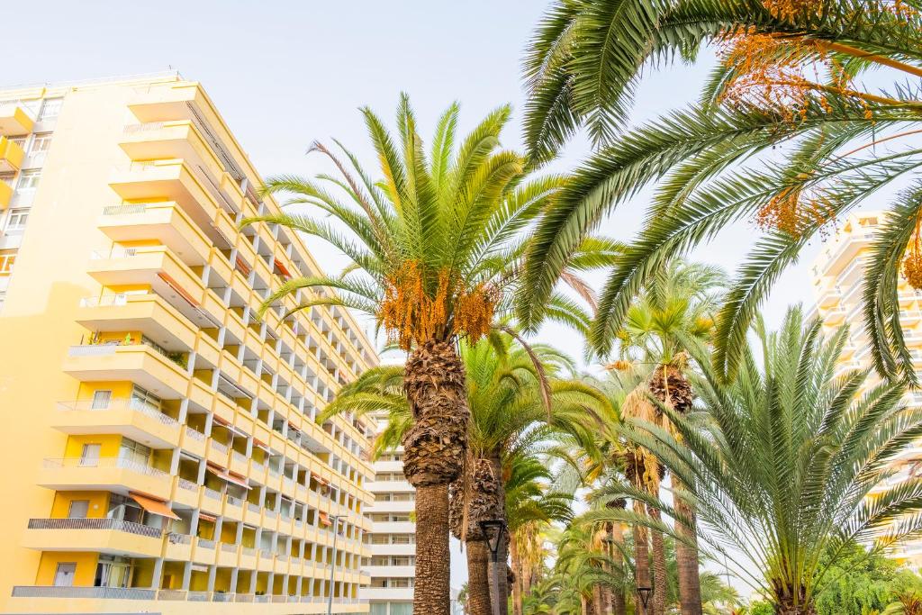 The building in which Az apartmant is located