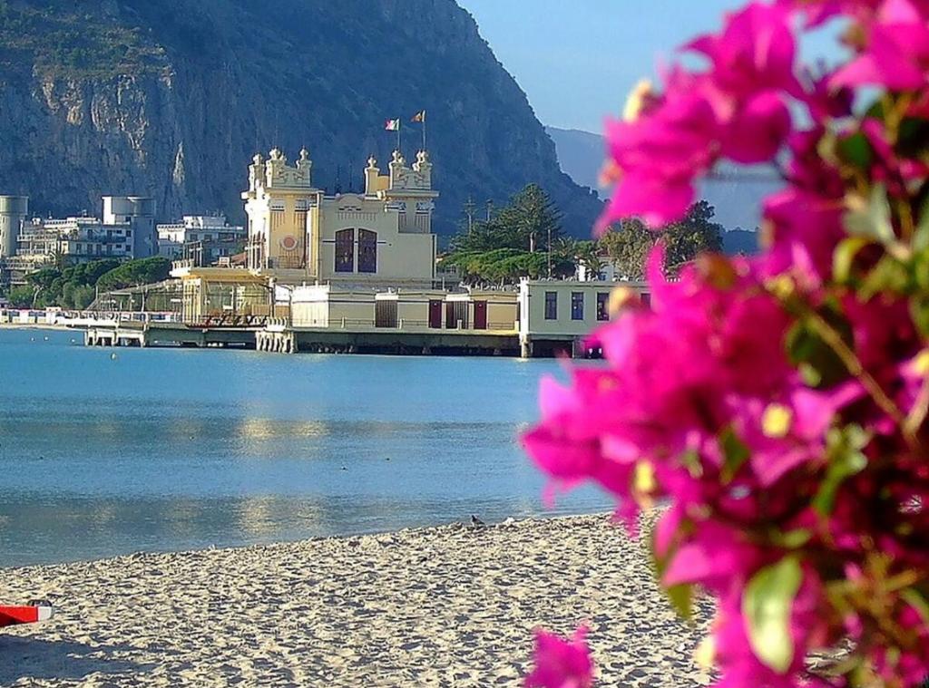 a group of pink flowers on the shore of a body of water at AR Palace Hotel - Palermo in Isola delle Femmine