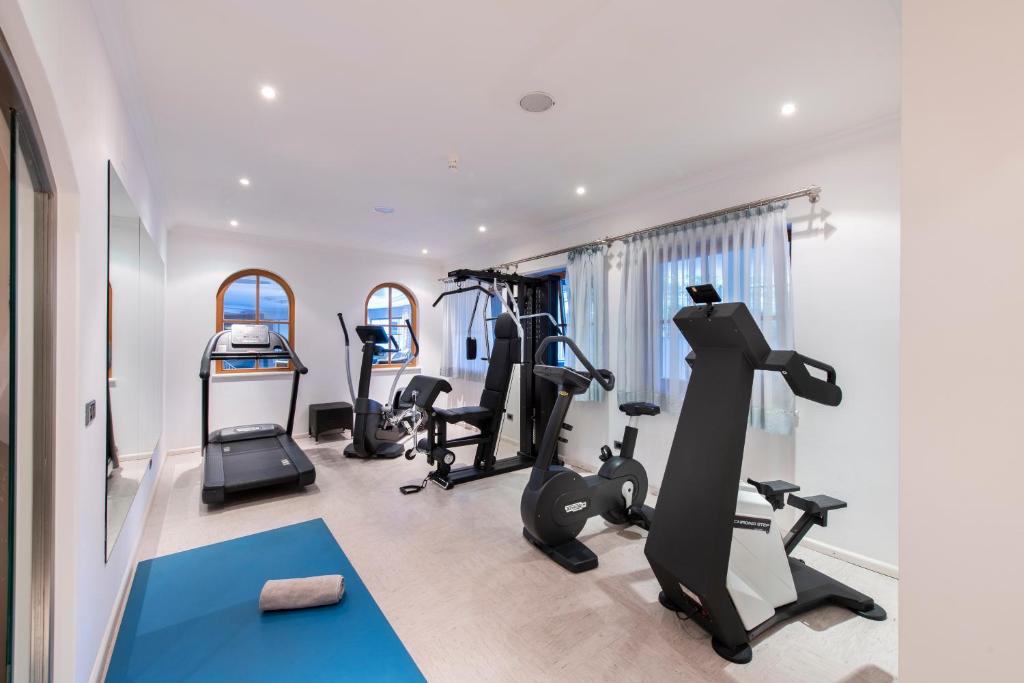 Fitness centrum a/nebo fitness zařízení v ubytování Hotel Sonnalp