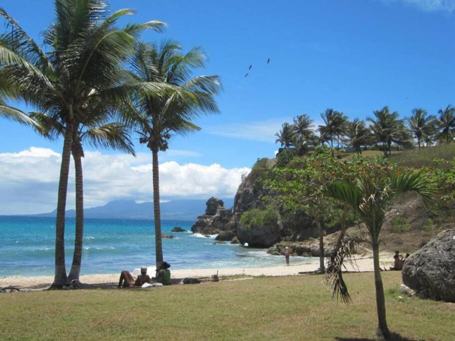 a beach with palm trees and the ocean at Villa Anse Vinaigri - Plage à pieds in Le Gosier