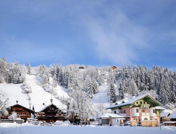 Appartements Baumanngut - 14