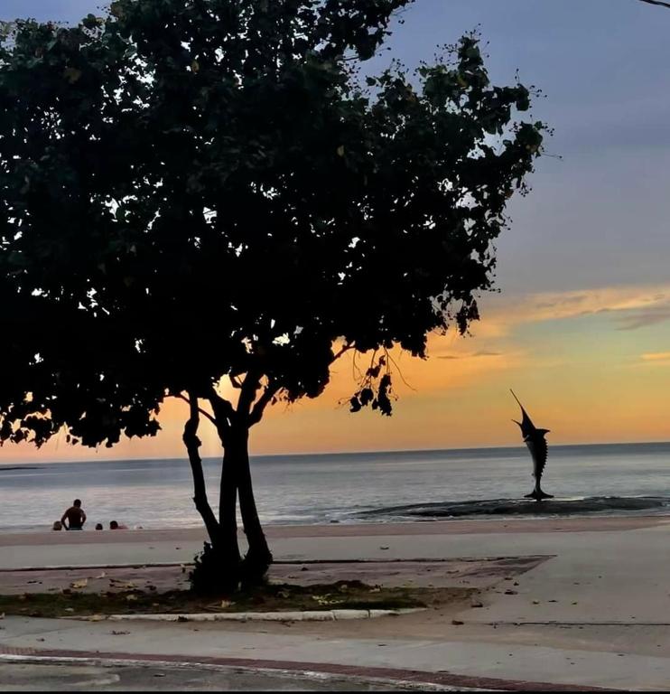 a person standing on a beach with a tree at RAIO DE LUZ GUARAPARI BEACH in Guarapari