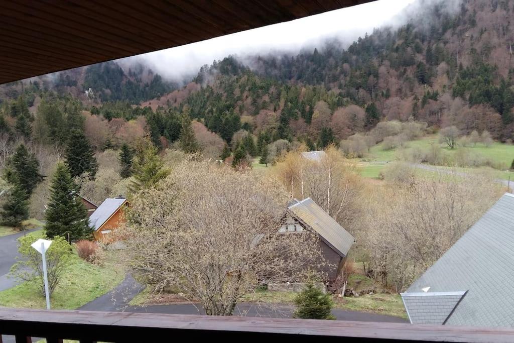 Príroda v okolí apartmánu