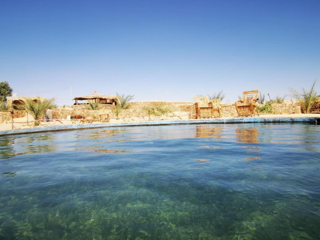 a pool of water in the middle of the desert at Karam Sands in Siwa
