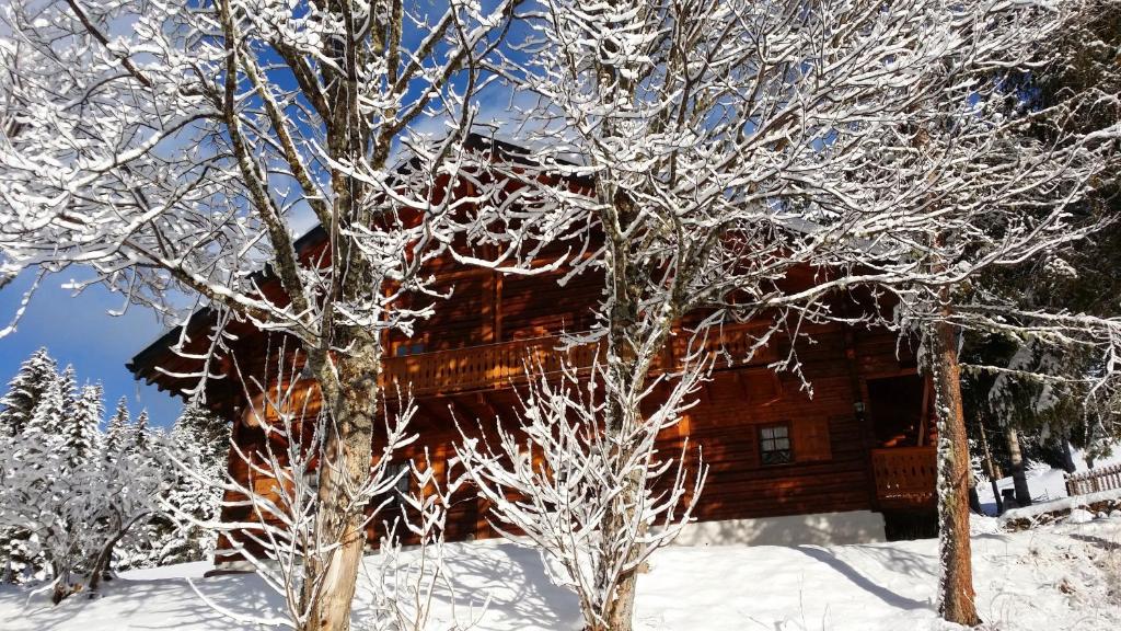Appartement - dans le chalet Carmazin v zimě