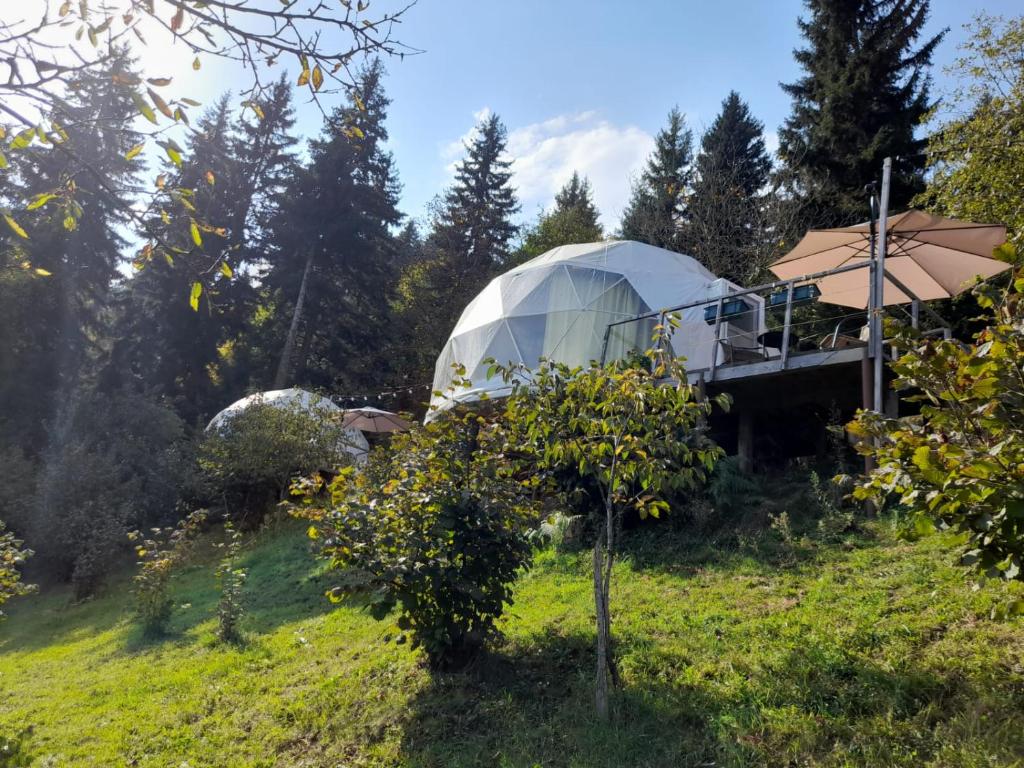 Zahrada ubytování Ajara Glamping Kokotauri