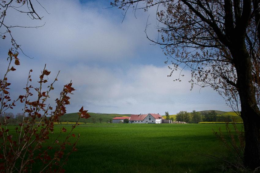 a large green field with a house in the background at Bed & Breakfast Vinkille in Löderup
