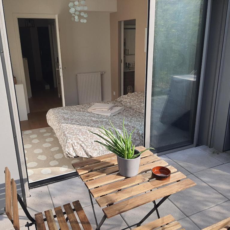 une pièce avec une table avec une plante en pot dessus dans l'établissement Jolie suite parentale, chambre et salle d'eau, avec son coin de verdure à 5 minutes à pied du centre ville, à Bordeaux